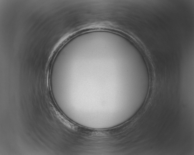 X0000085781224200703160950