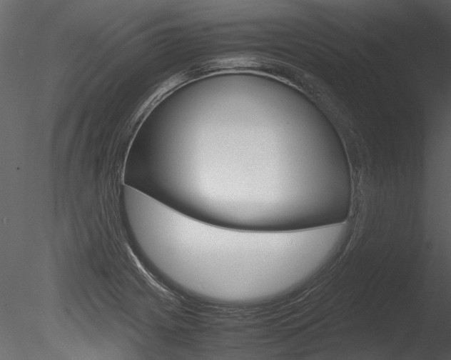 X0000085781225200703160950