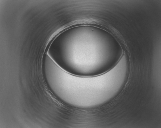 X0000085781226200703160950