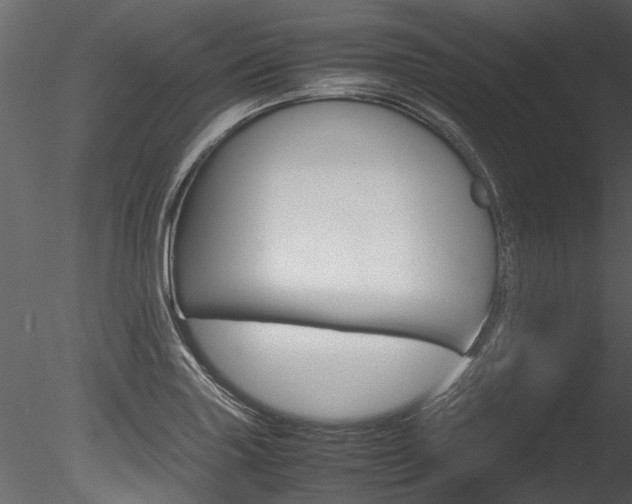 X0000085781227200703160950