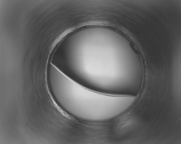 X0000085781237200703160951