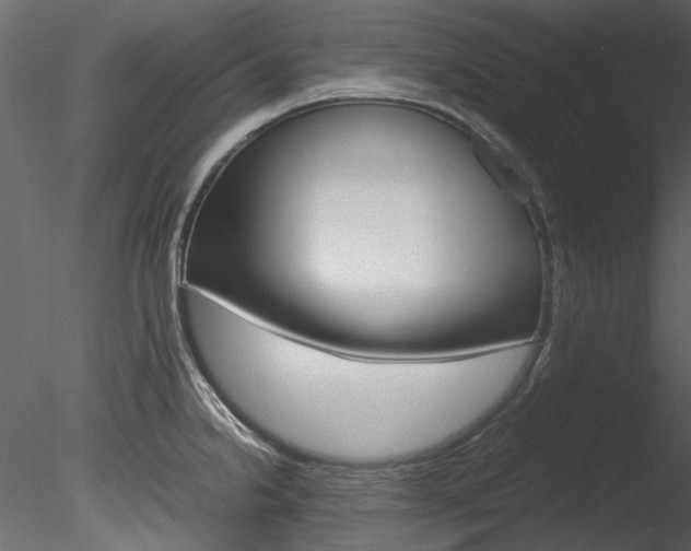 X0000085781238200703160951