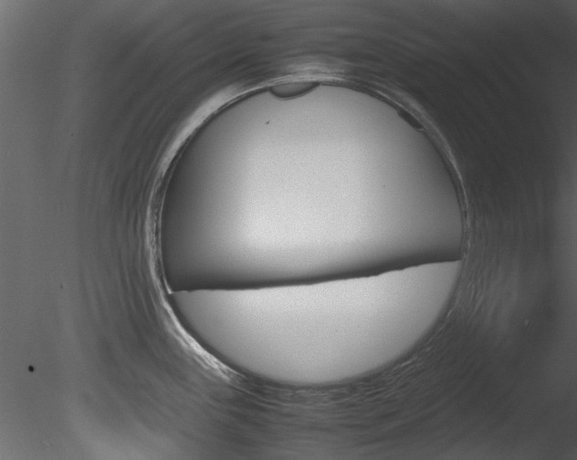X0000085781243200703160951