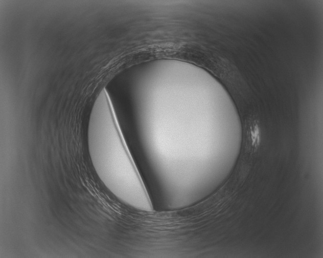 X0000085781252200703160950