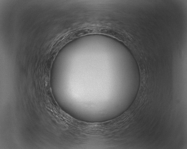 X0000085781253200703160950
