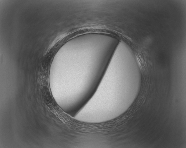 X0000085781255200703160950