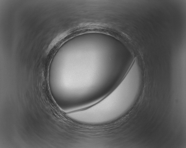 X0000085781261200703160950