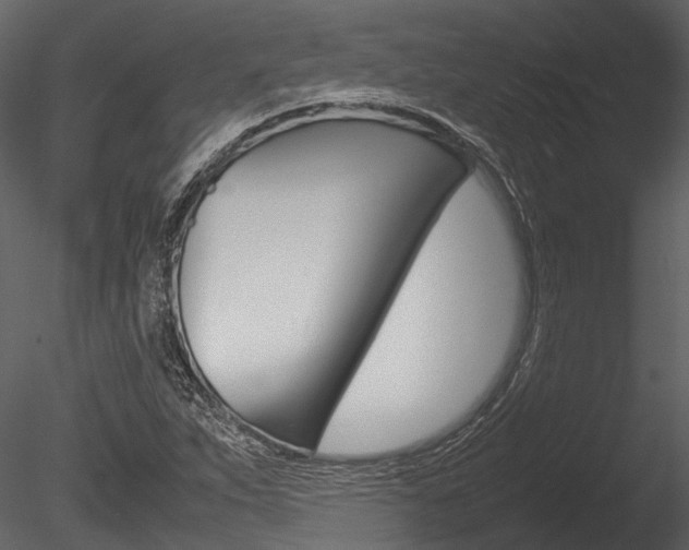 X0000085781263200703160950