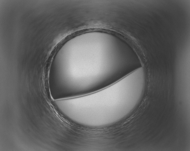 X0000085781264200703160950
