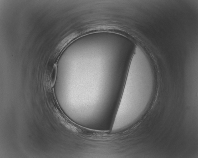 X0000085781273200703160949