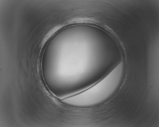 X0000085781277200703160949