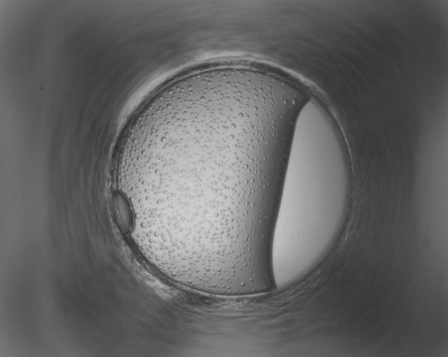 X0000085781279200703160949
