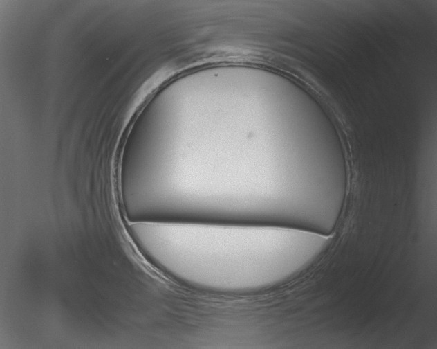 X0000085781283200703160949