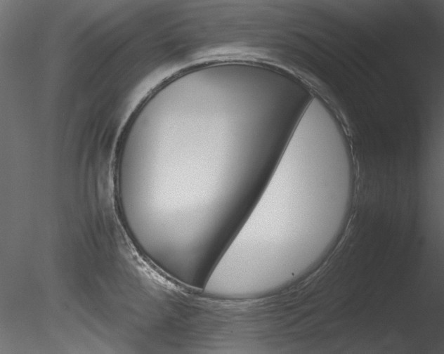 X0000085781288200703160949