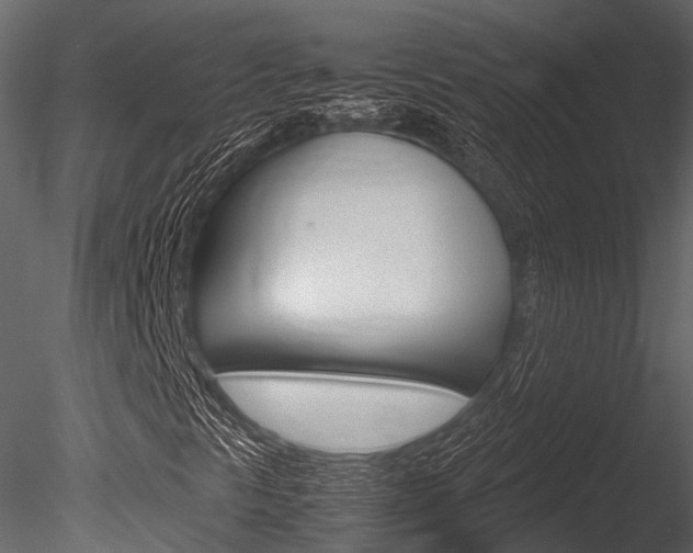 X0000085781297200703160948