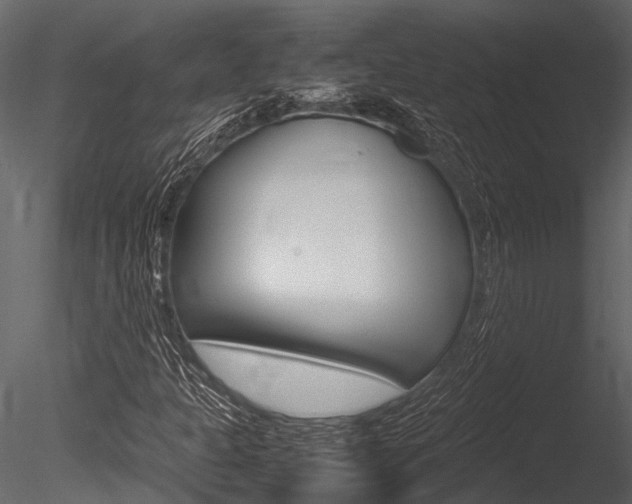 X0000085781301200703160948