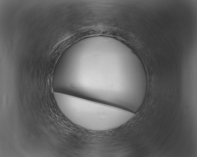 X0000085781302200703160948