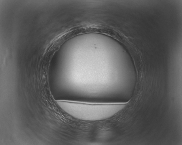X0000085781303200703160948