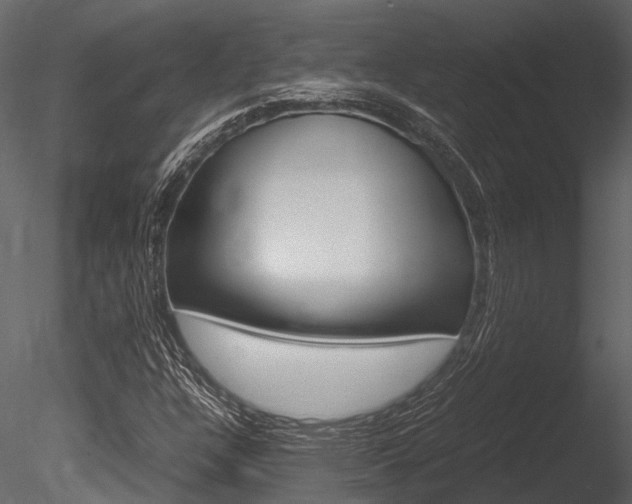 X0000085781304200703160948