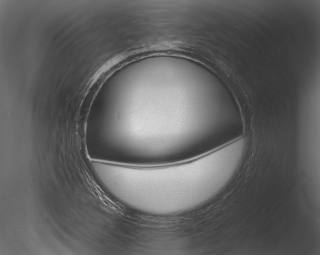 X0000085781308200703160948