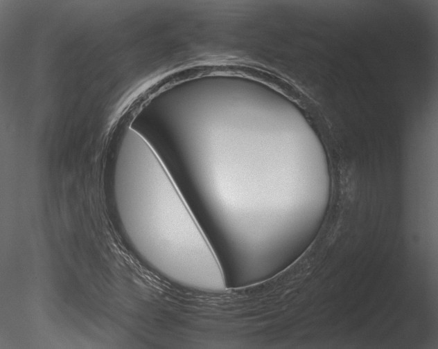 X0000085781311200703160949