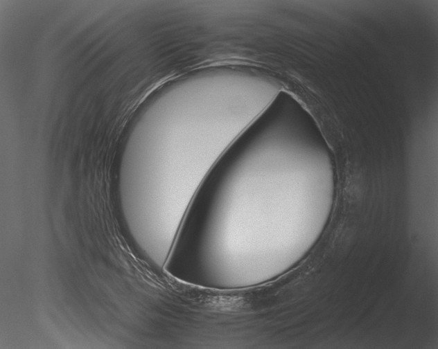 X0000085781313200703160949