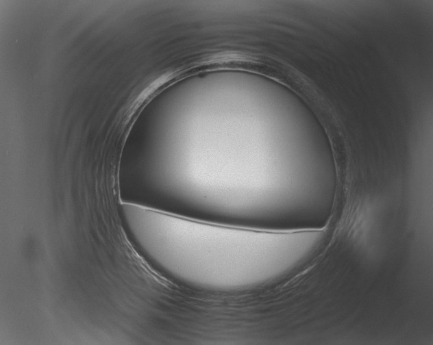 X0000085781321200703160949