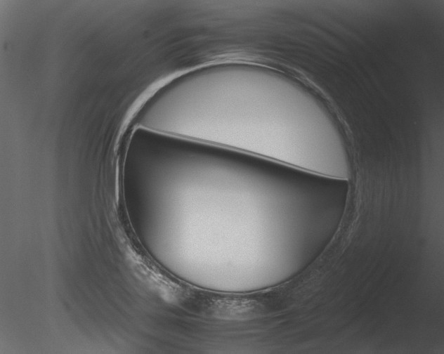 X0000085781323200703160949