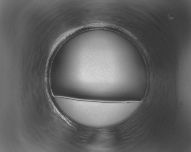 X0000085781327200703160949