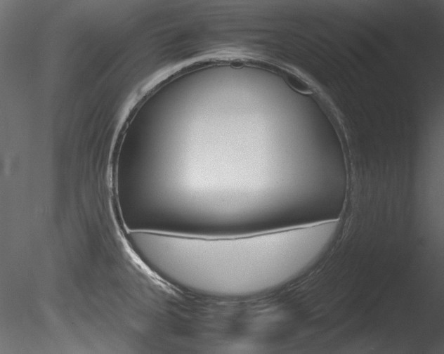 X0000085781335200703160949