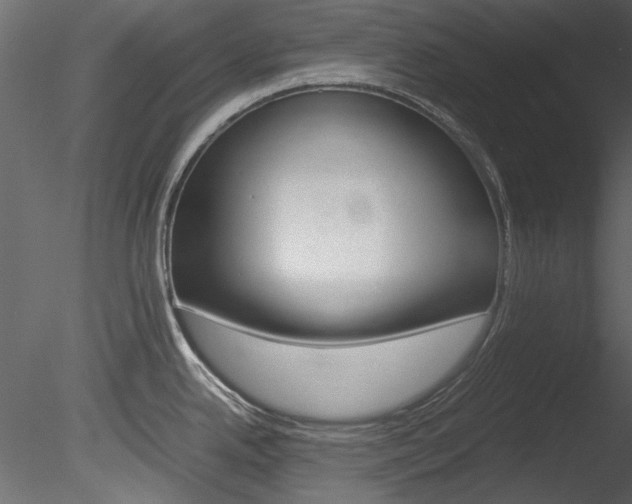 X0000085781342200703160949