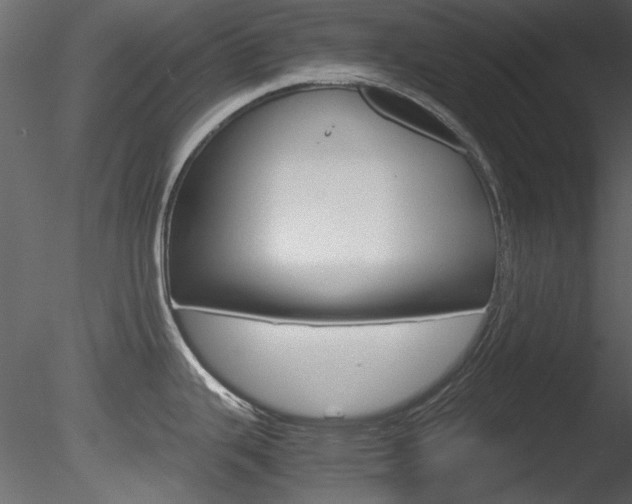 X0000085781343200703160949