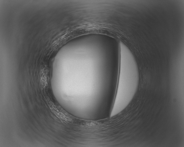 X0000085781348200703160948