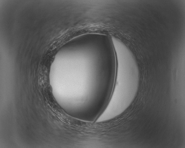 X0000085781349200703160948