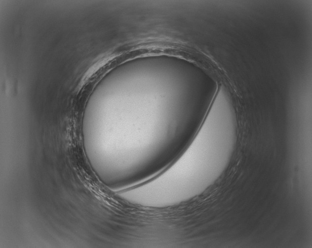 X0000085781352200703160948