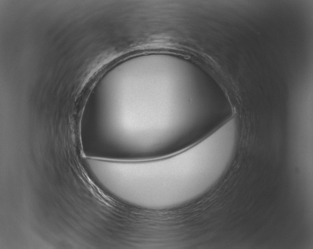 X0000085781356200703160948