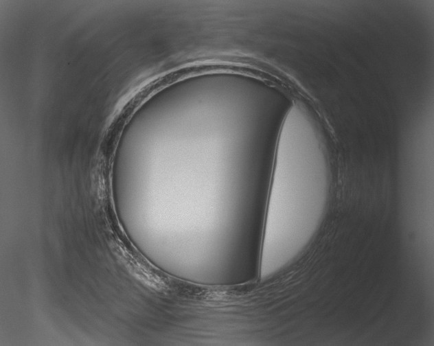 X0000085781360200703160948