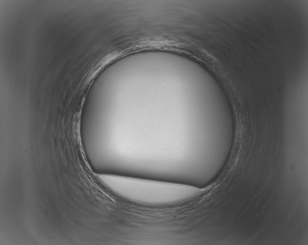 X0000085781361200703160948
