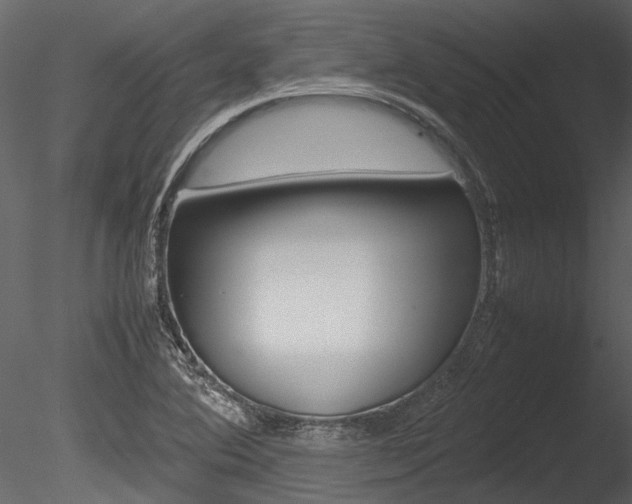 X0000085781364200703160948
