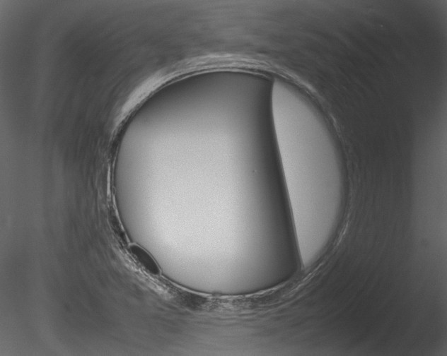 X0000085781365200703160948