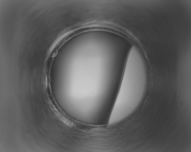 X0000085781368200703160948