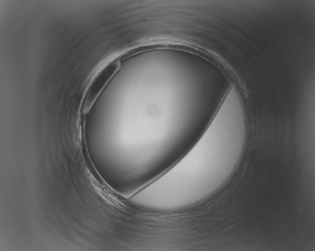 X0000085781372200703160948