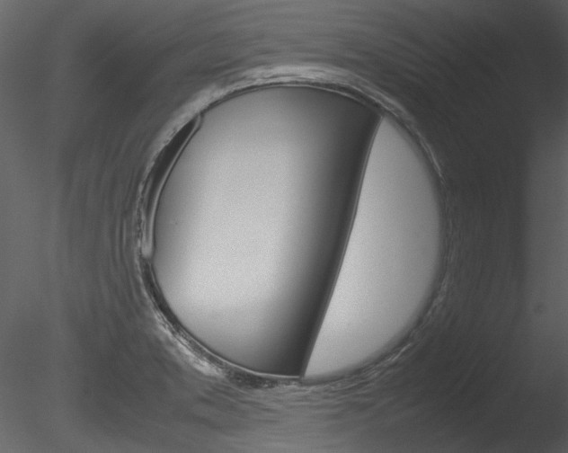 X0000085781373200703160948