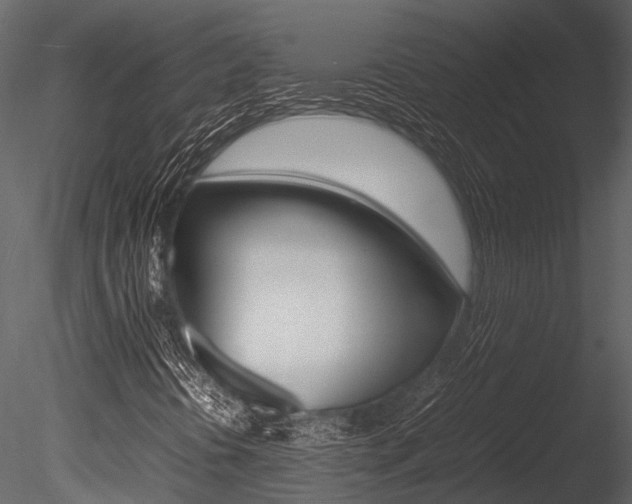 X0000085781394200703160947