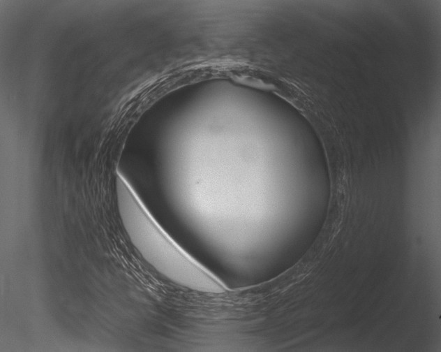 X0000085781398200703160947