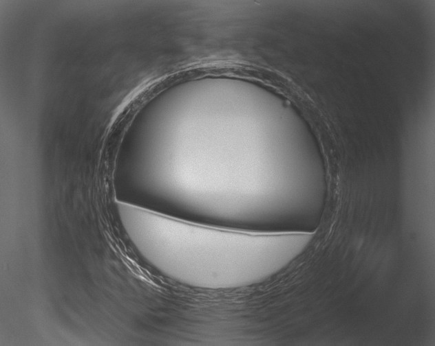 X0000085781400200703160947