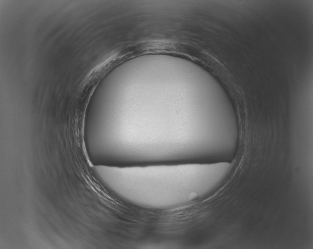 X0000085781403200703160947