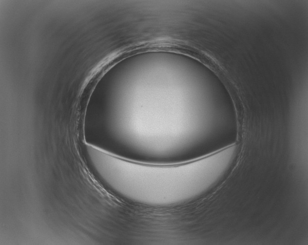 X0000085781410200703160947