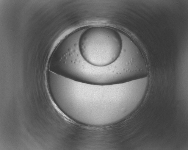 X0000085781432200703160947