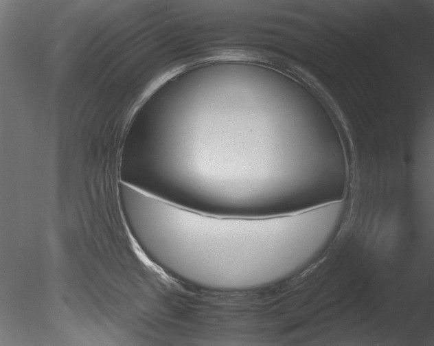 X0000085781433200703160947